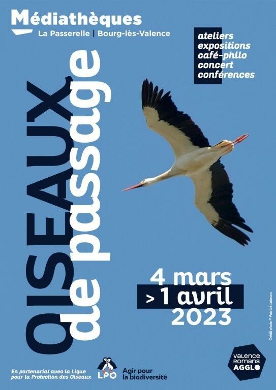 oiseaux de passage