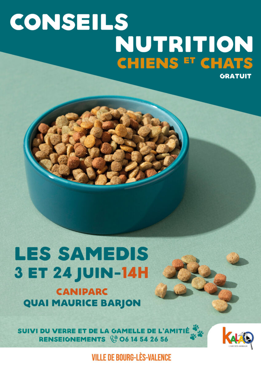 Conseils en nutrition pour chiens et chats