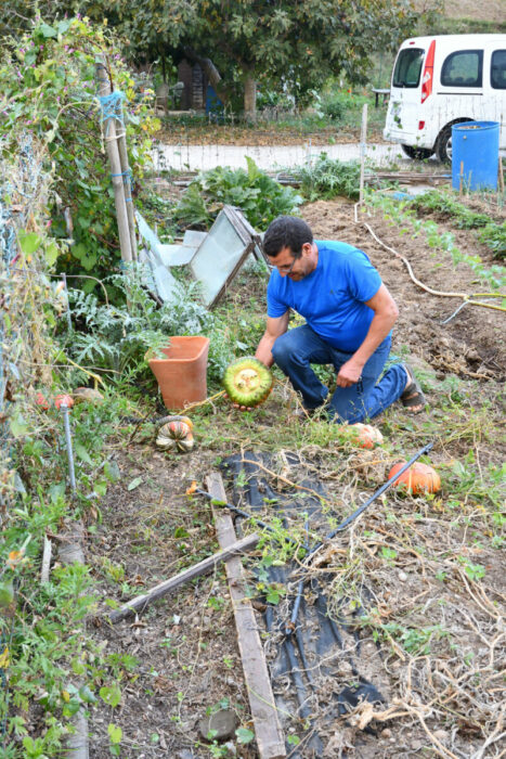 concours de citouille des jardins familaux et jardin bio 03.10 (7)