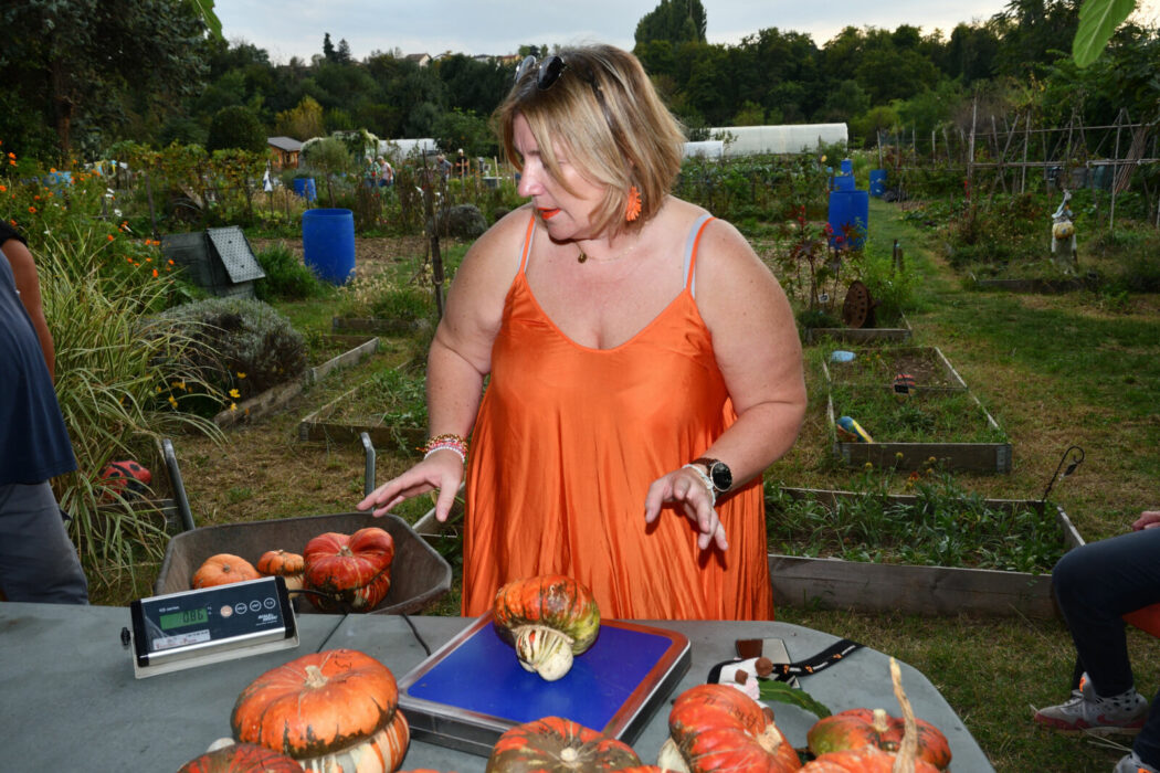 concours de citouille des jardins familaux et jardin bio 03.10 (76)