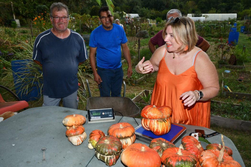 concours de citouille des jardins familaux et jardin bio 03.10 (81)