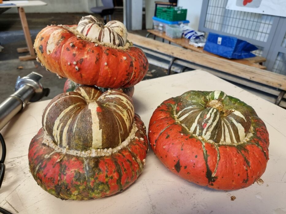 soupe de courges (2)