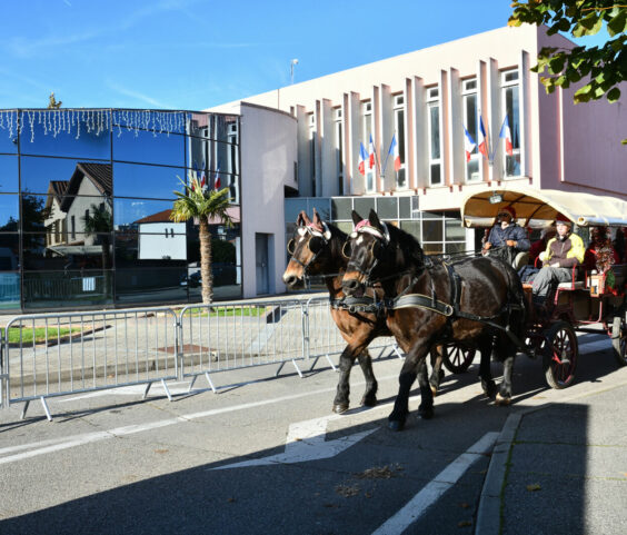 Calèche du père noel 29.11 (1)