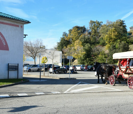 Calèche du père noel 29.11 (11)