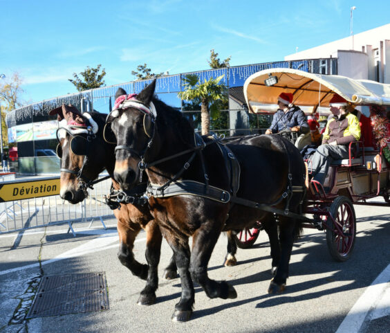 Calèche du père noel 29.11 (3)