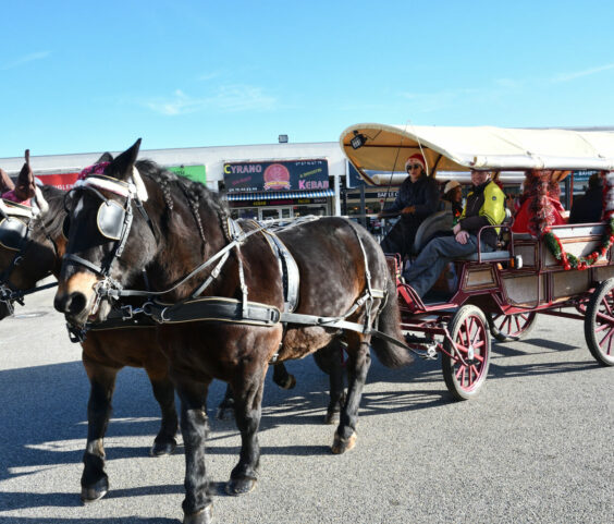 Calèche du père noel 29.11 (5)