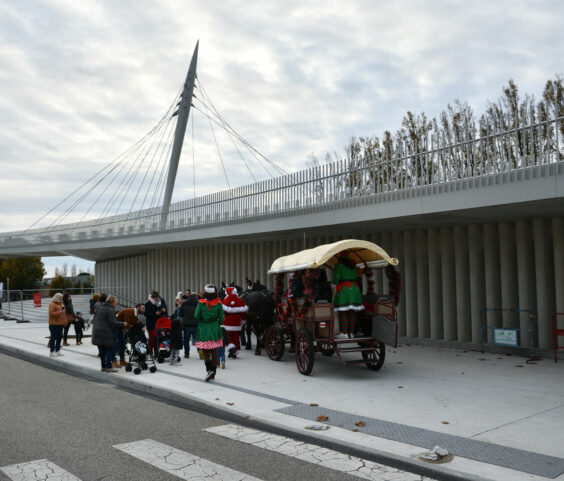 Calèche du père noel 29.11 (58)