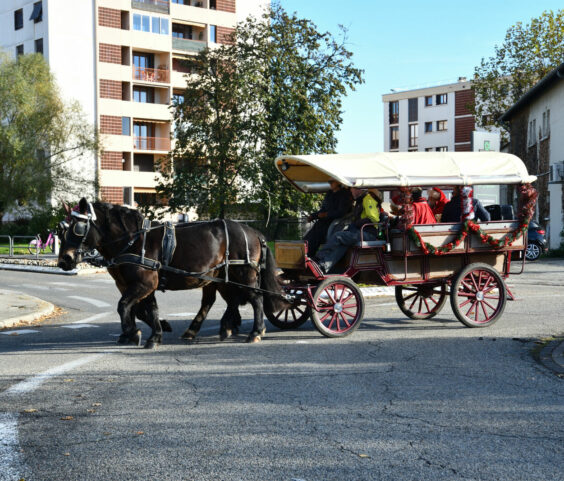 Calèche du père noel 29.11 (7)