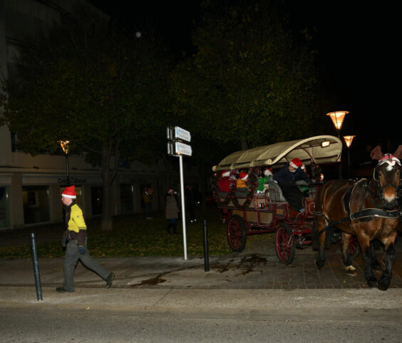 Calèche du père noel 29.11 (96)