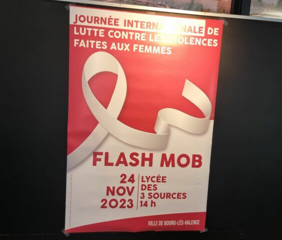 conf de presse violence faites aux femmes (32)
