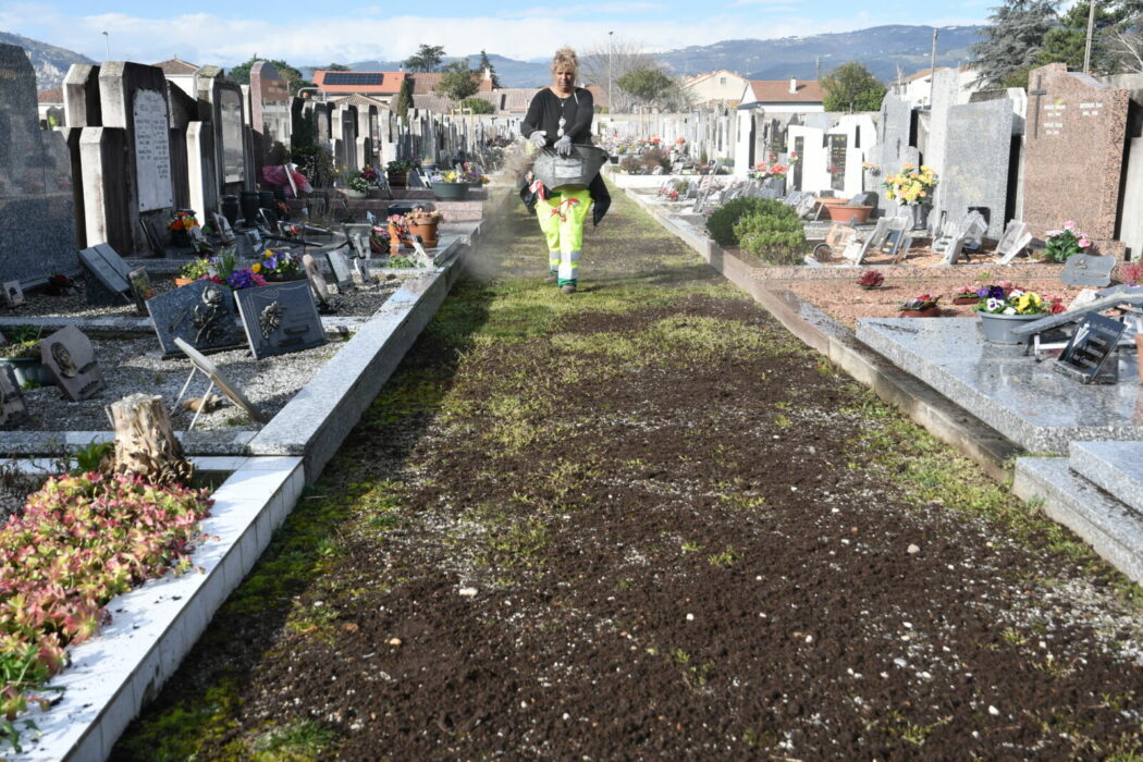 végétalisation travaux cimetiere pavillon 05.03 (46)