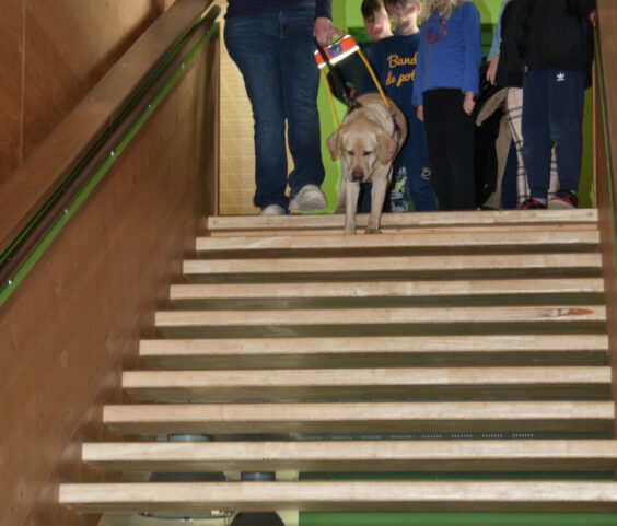 action sensibilisation au handicap,ecole des chirouzes 08.04 (30)