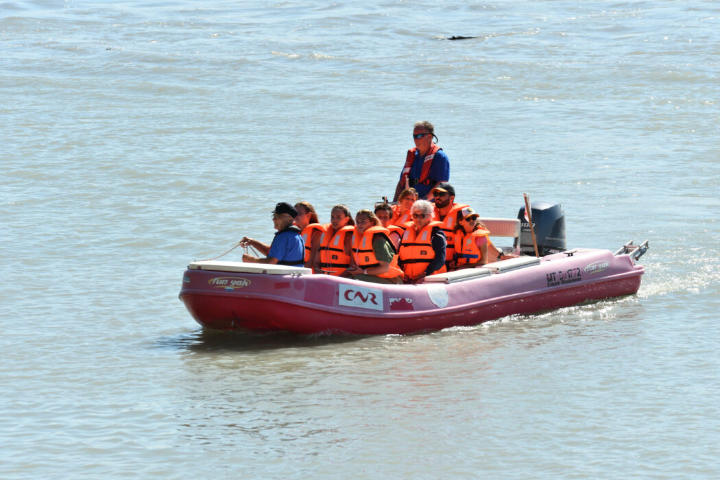 balade bateau (7)