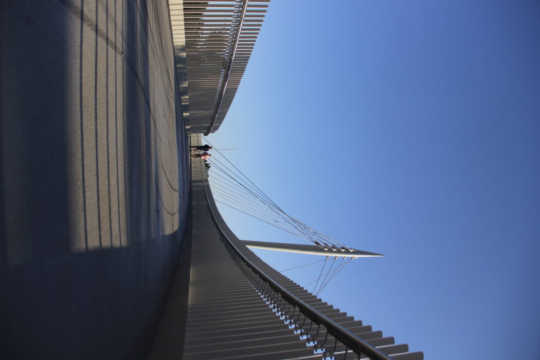 _MG_3729
