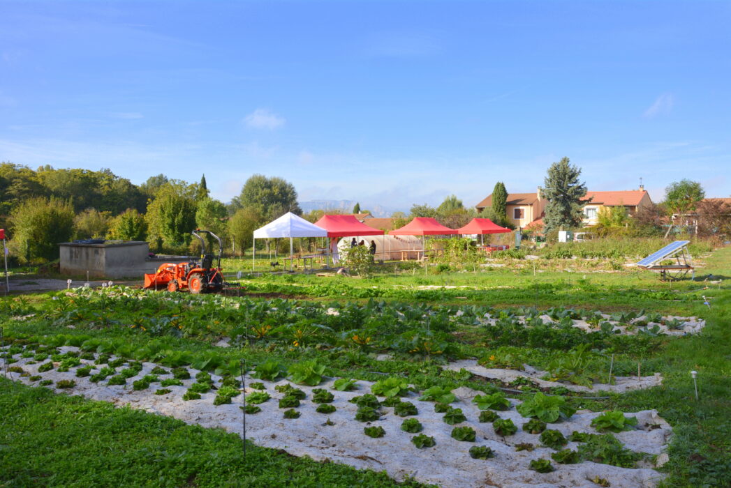 panier du colombier (8)