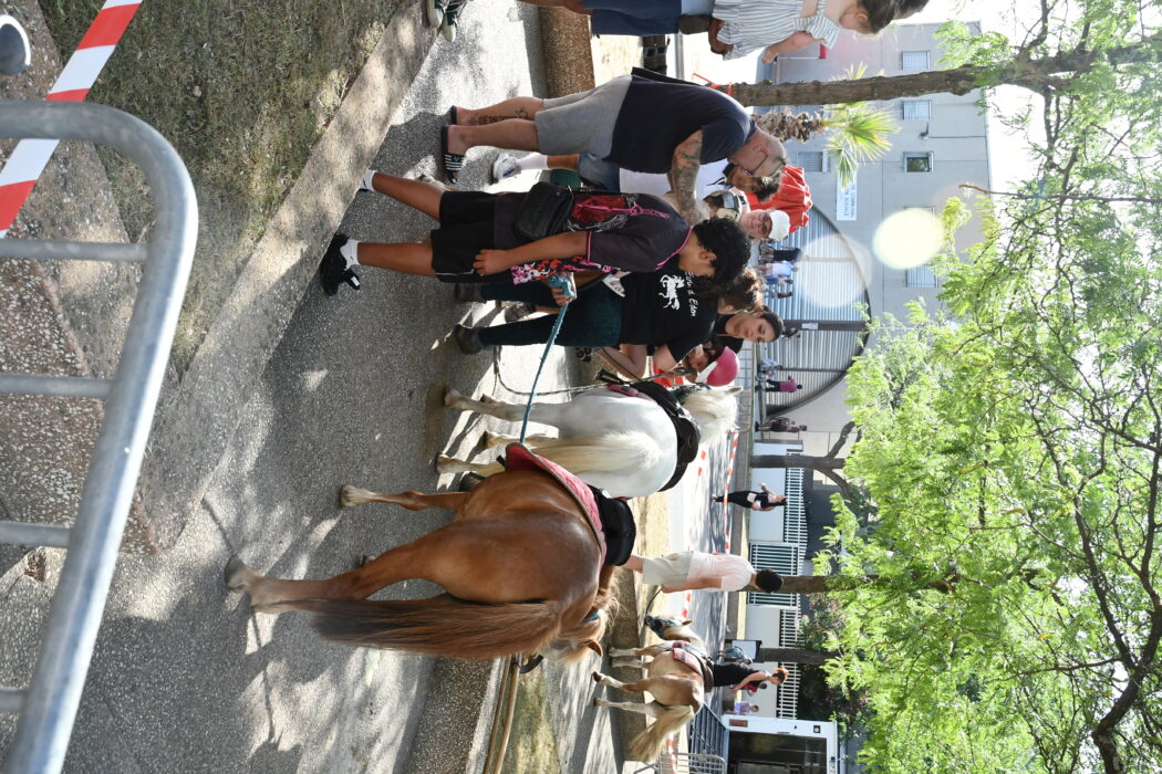 'allet (7)