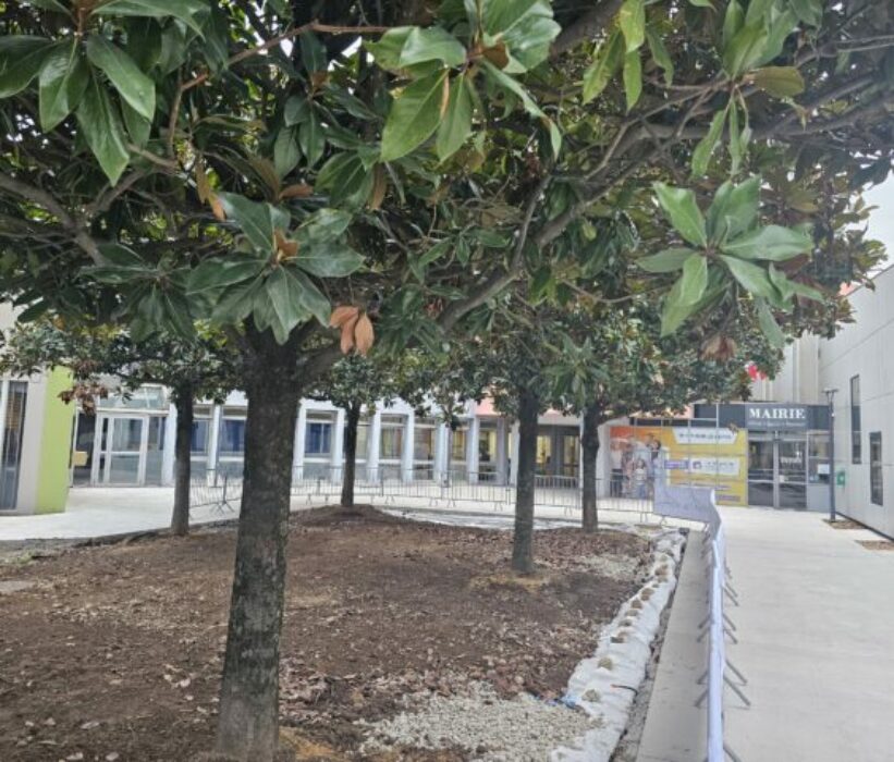 parvis-maririe (9)