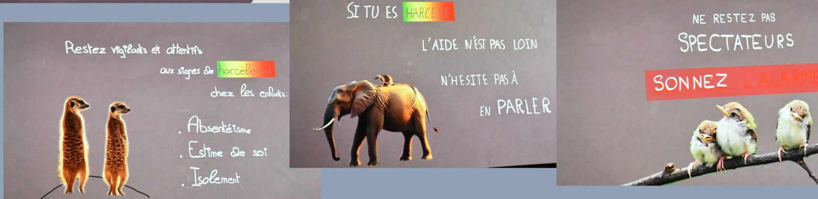 Actualités