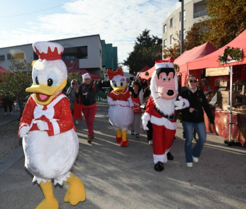 dimanche 01.12.24 village de noël (26)