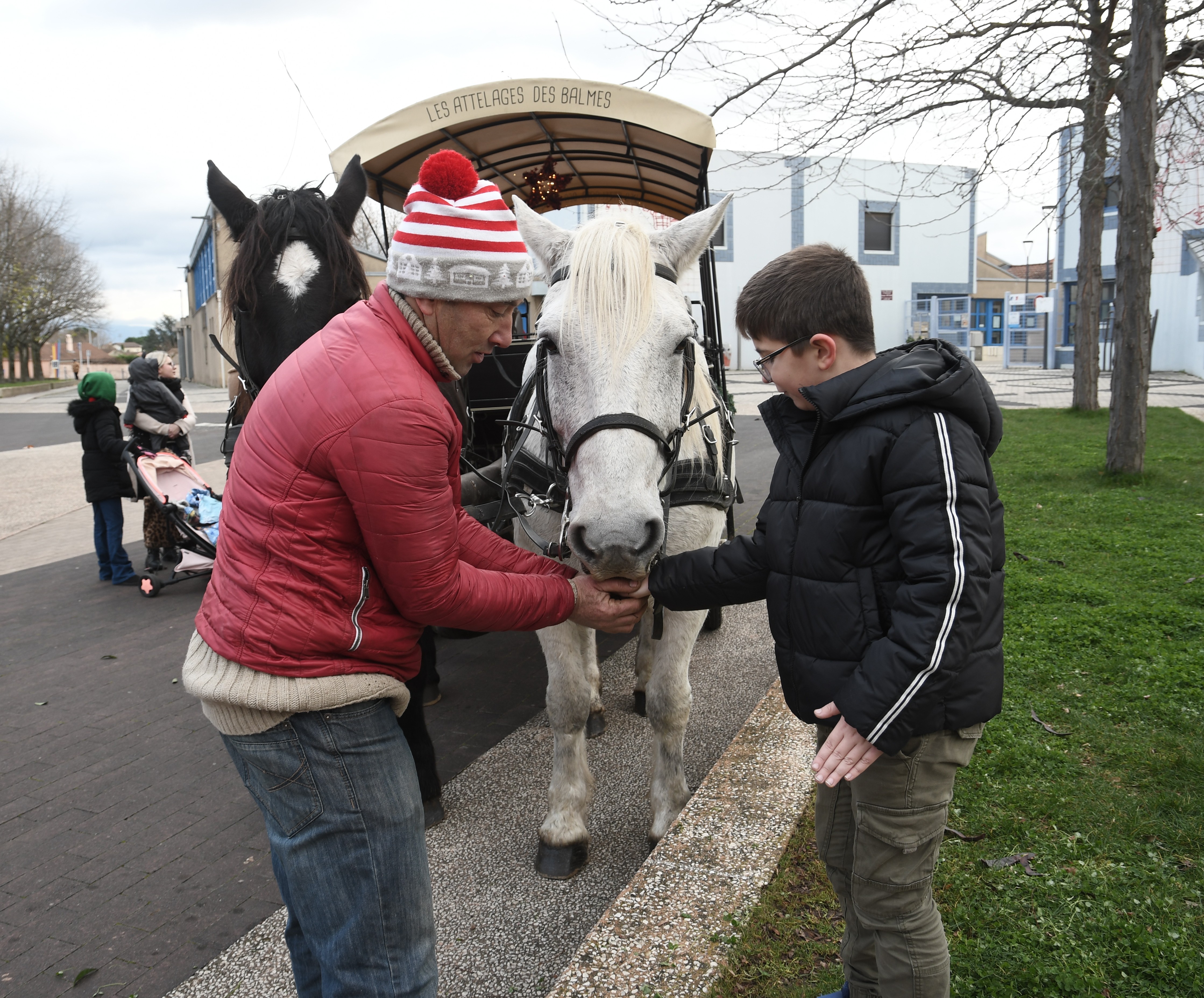 Tour de calèche du Père Noël 26.11 (33)