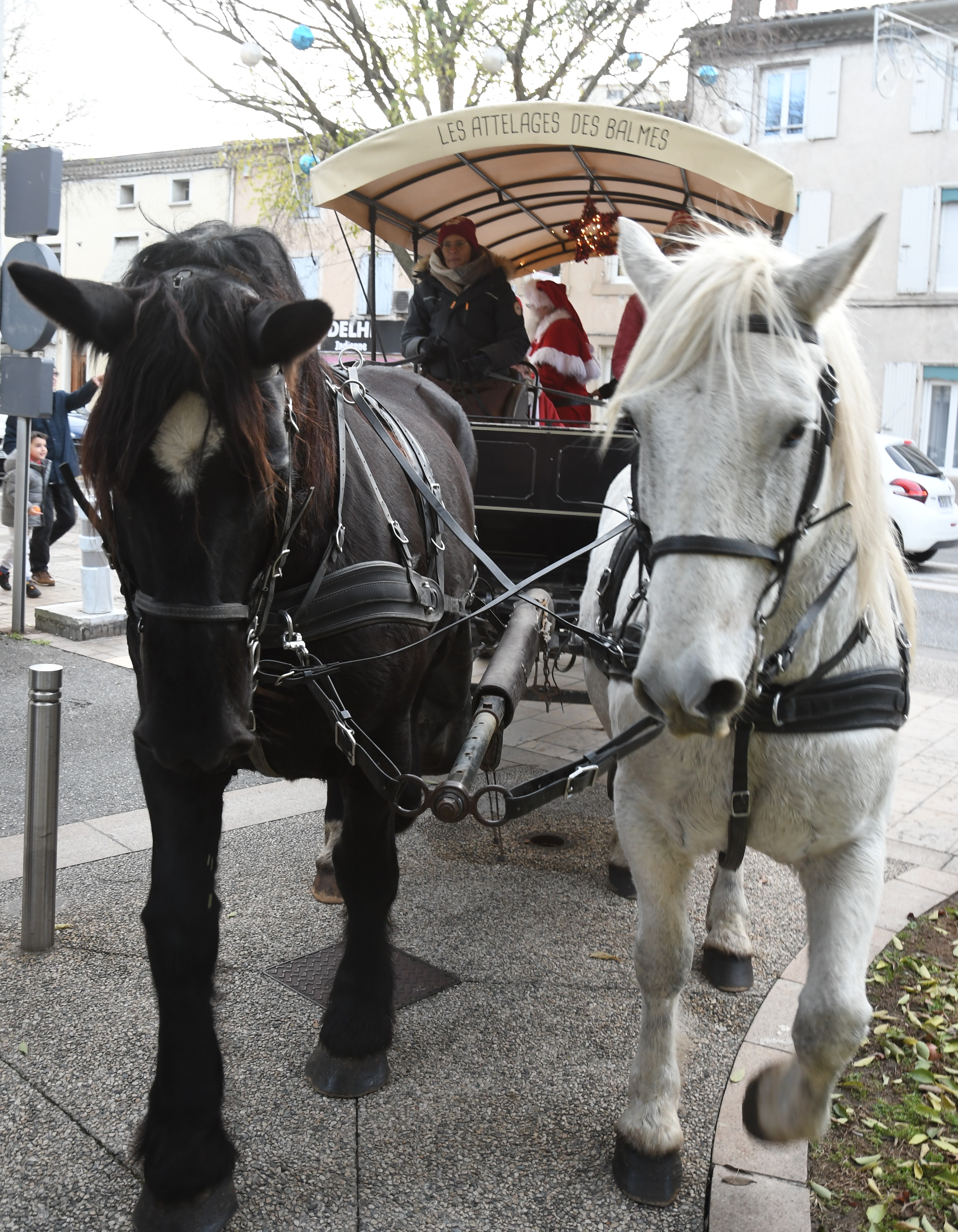 Tour de calèche du Père Noël 26.11 (37)