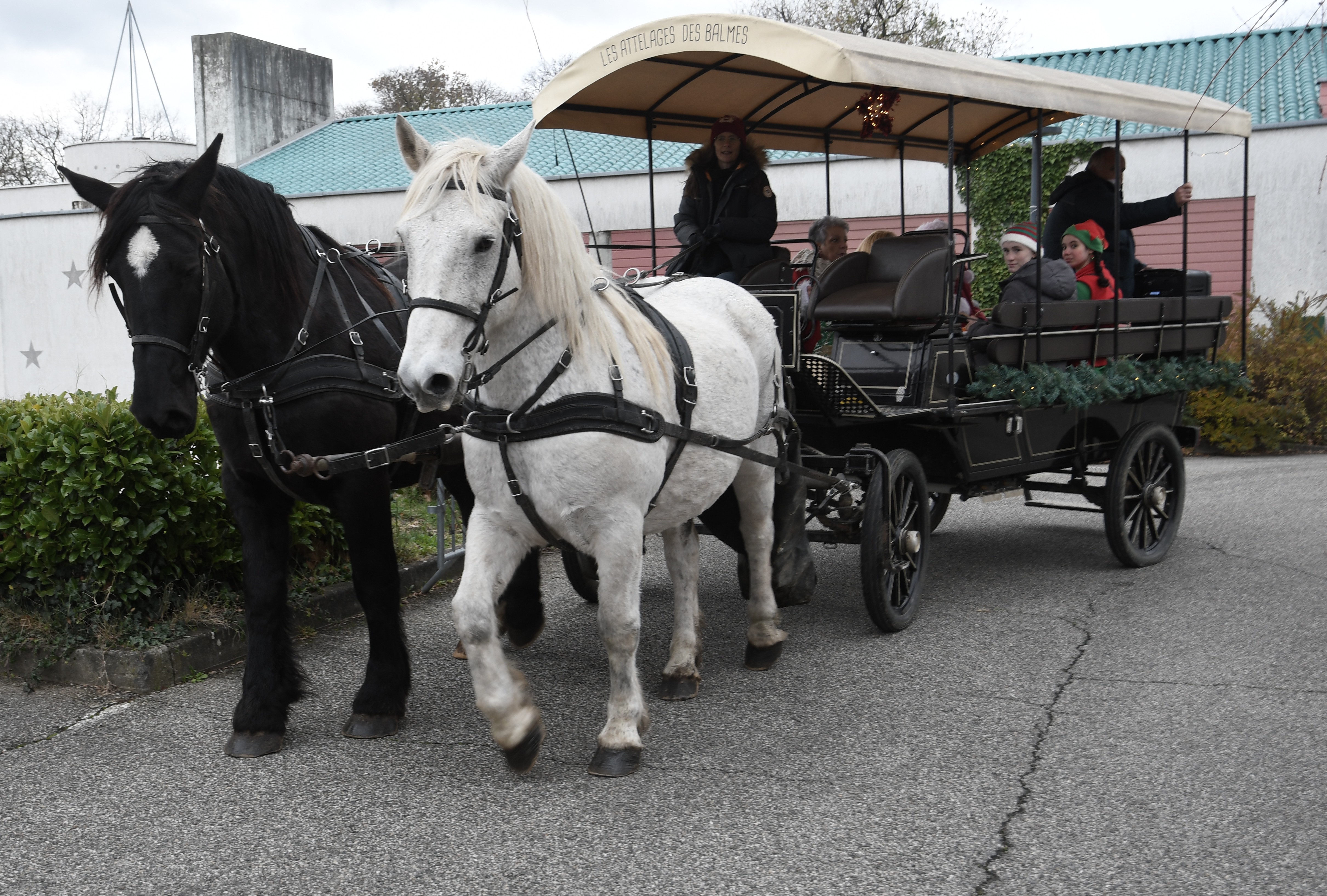 Tour de calèche du Père Noël 26.11 (4)