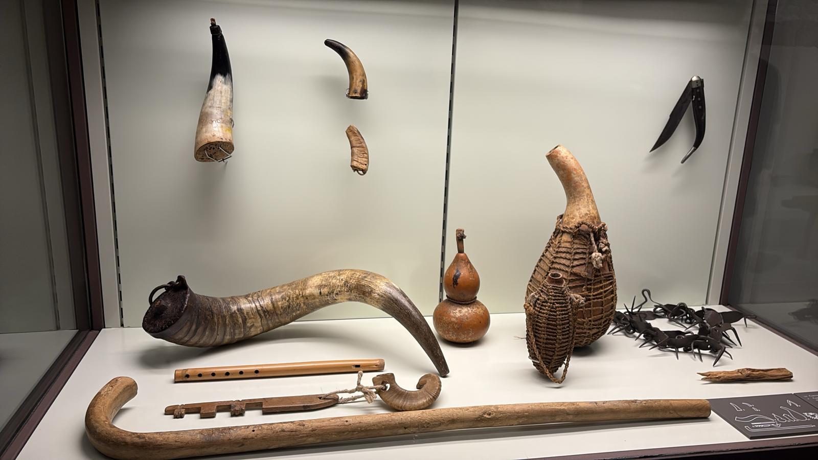 507ca4e6-de58-44c9-9780-8b64ee2ae88f