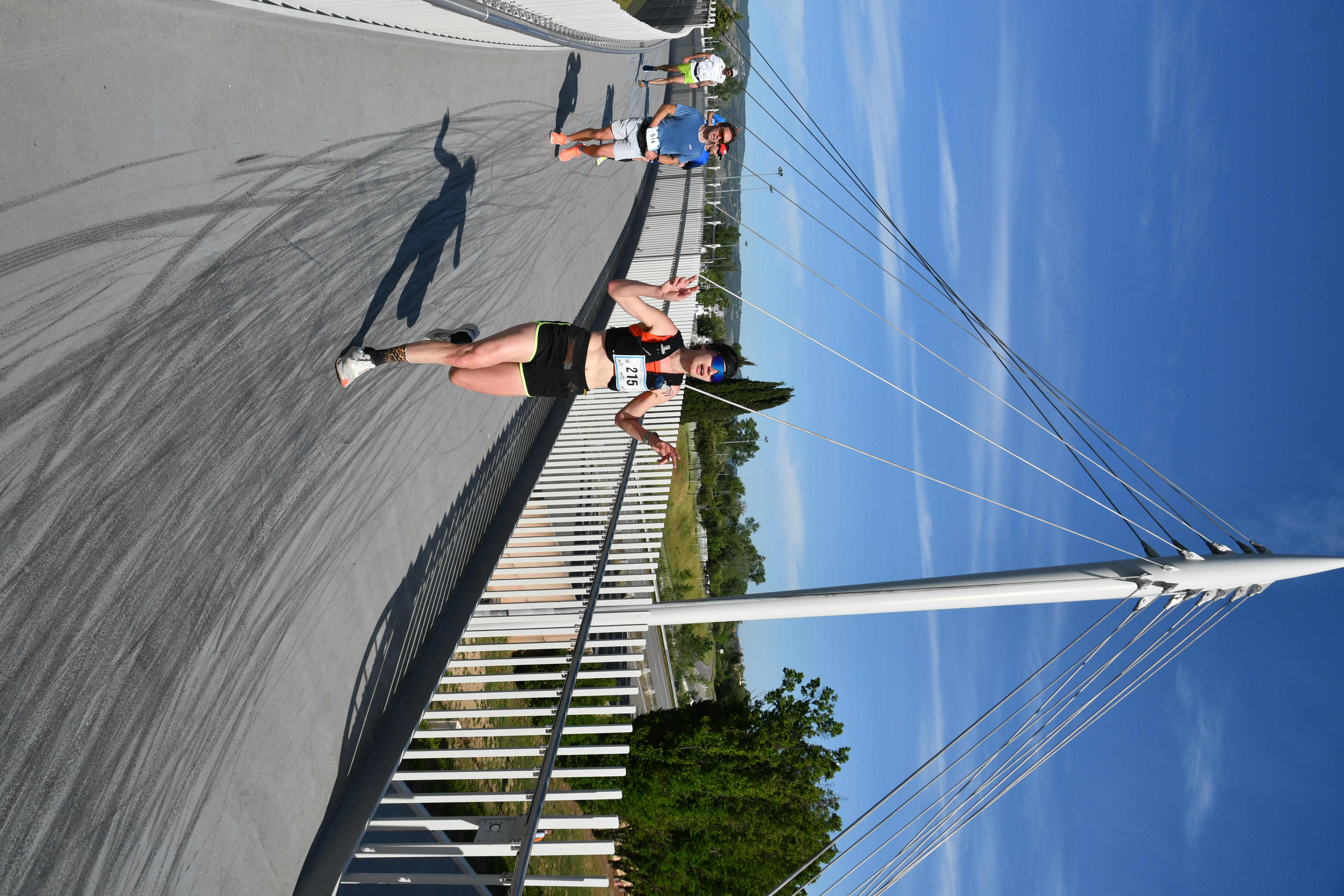 site passerelle (35)