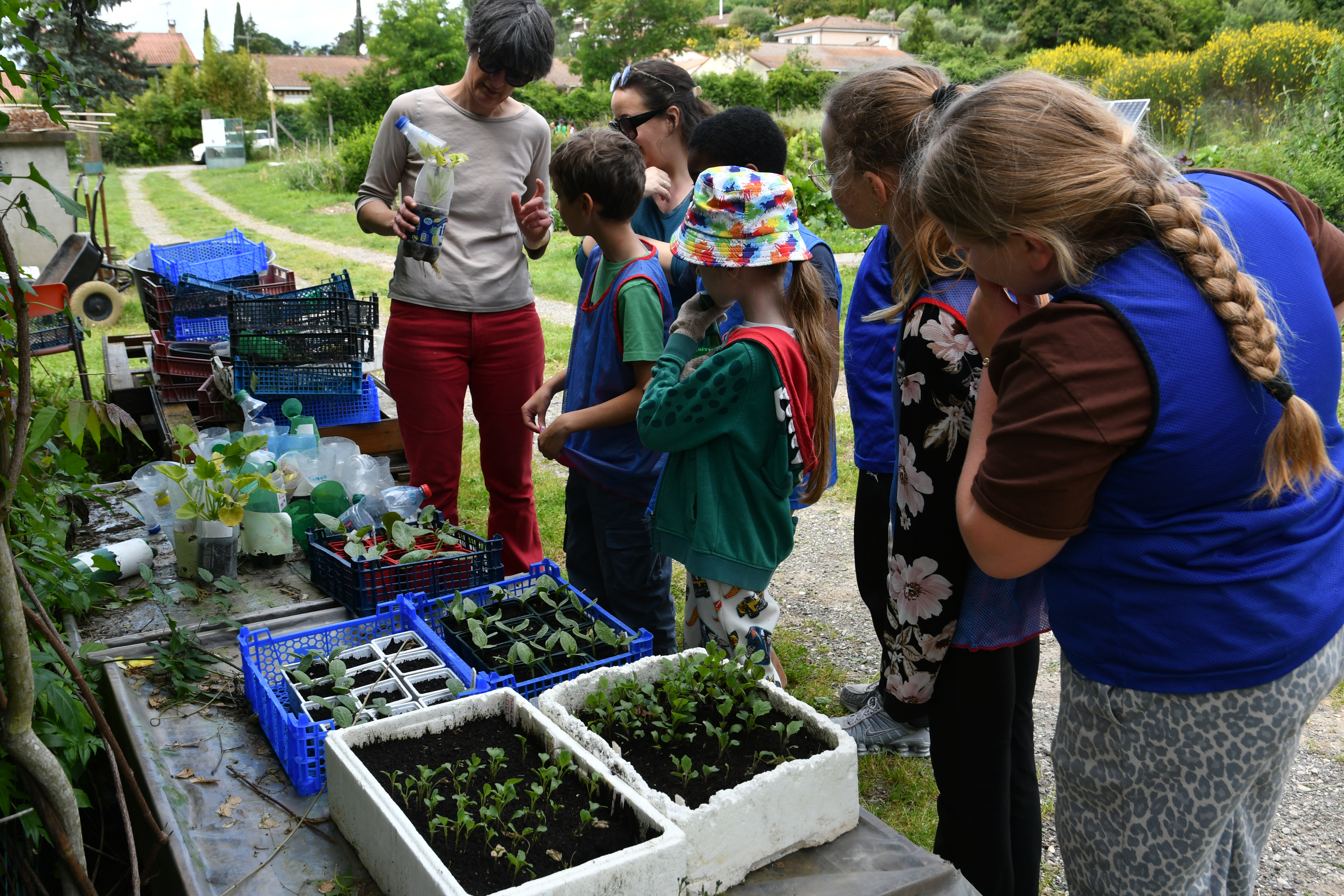 animation jardin du colombier avec ecolerimaire (12)