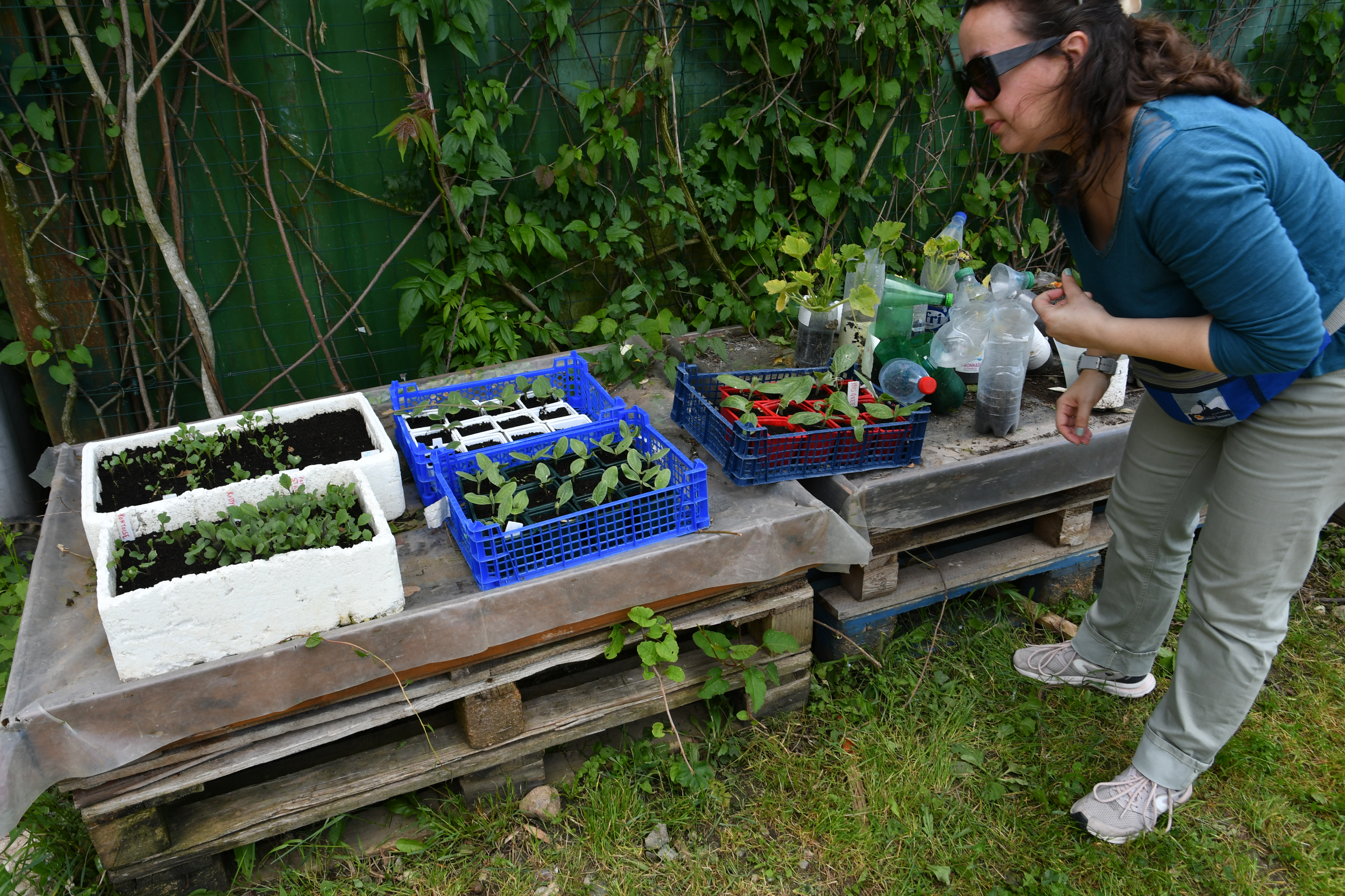 animation jardin du colombier avec ecolerimaire (13)