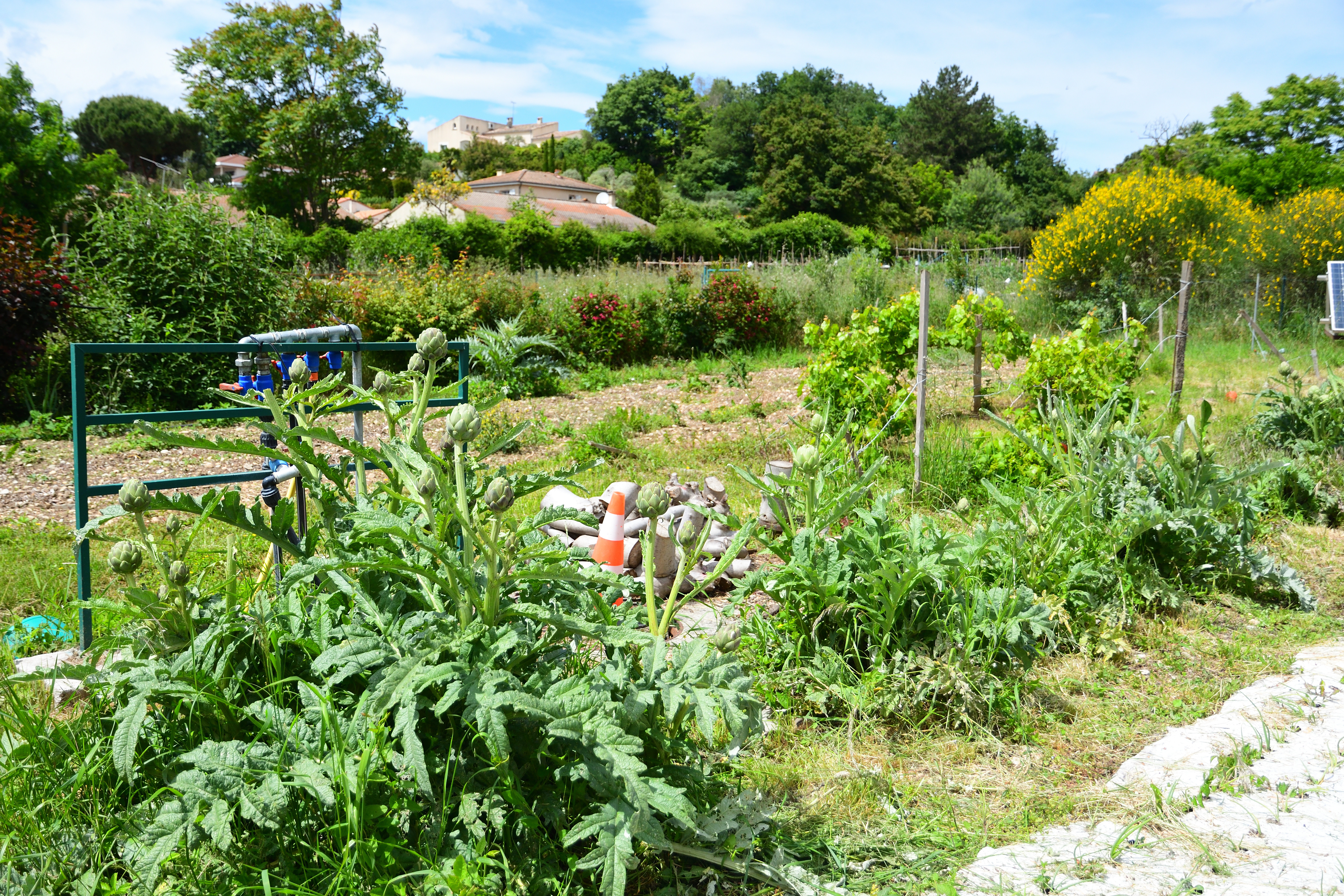 animation jardin du colombier avec ecolerimaire (19)