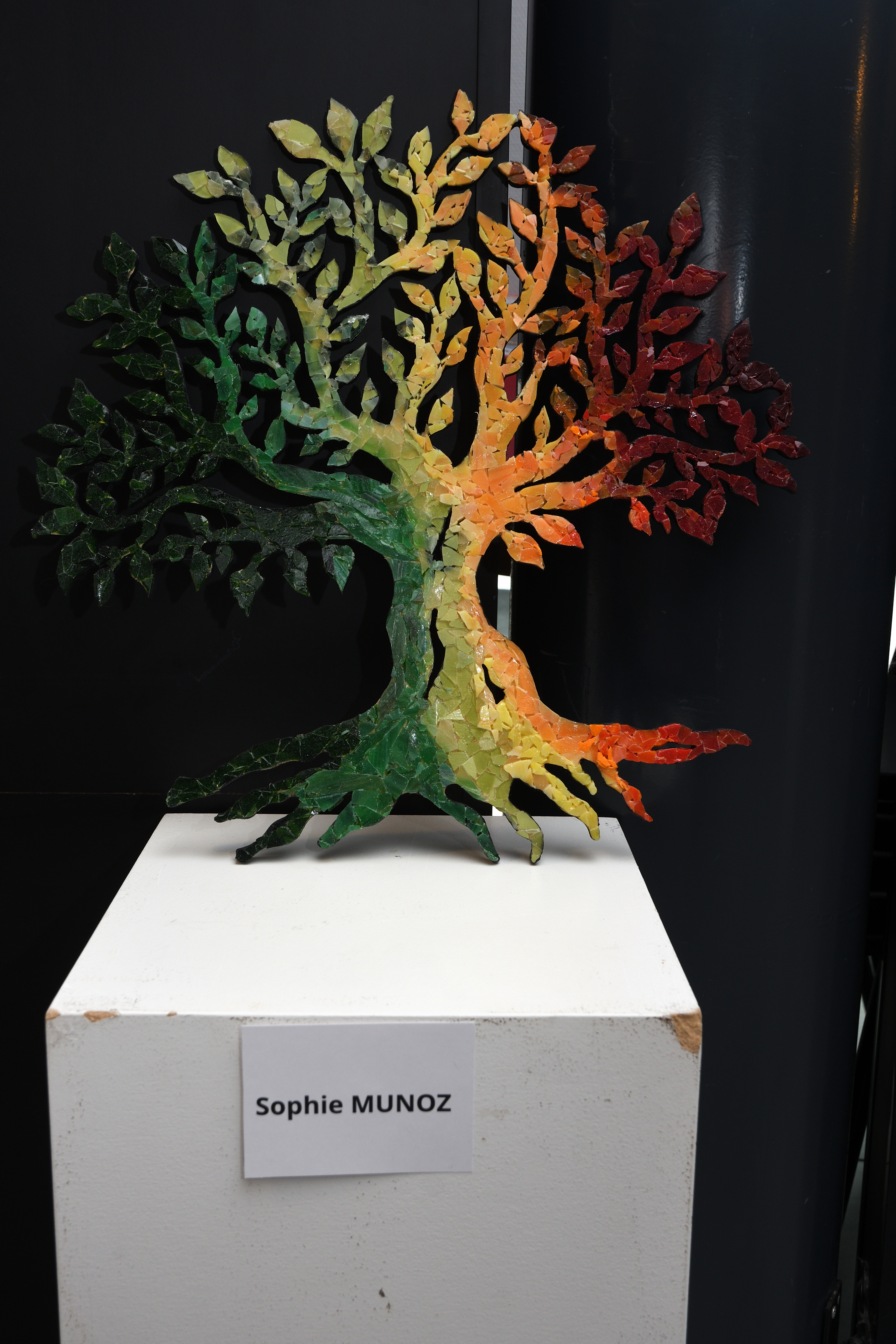 remise lot concours des artistes 09.07 (13)