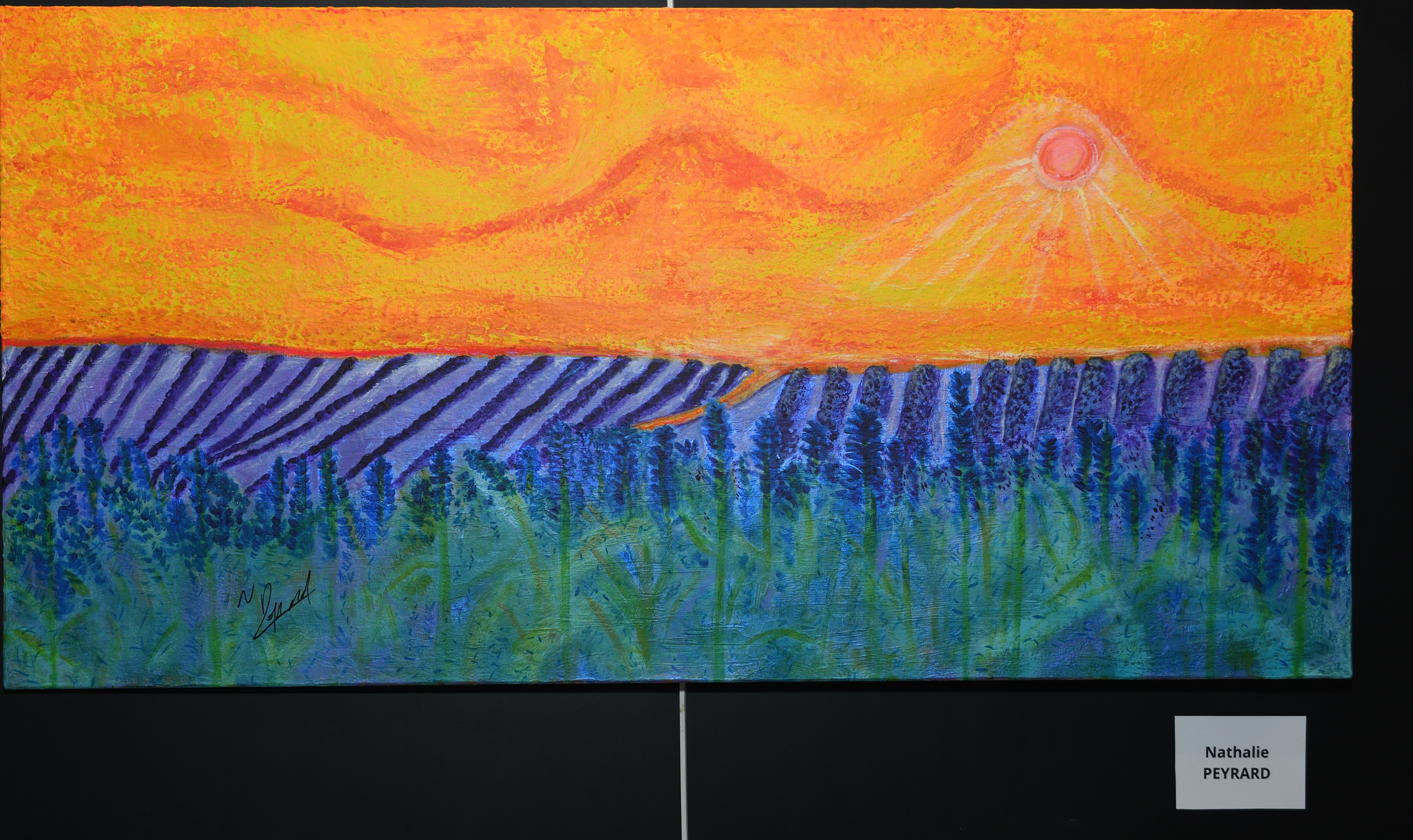 remise lot concours des artistes 09.07 (4)